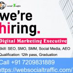 Digital Marketing Executive Job Vacancies