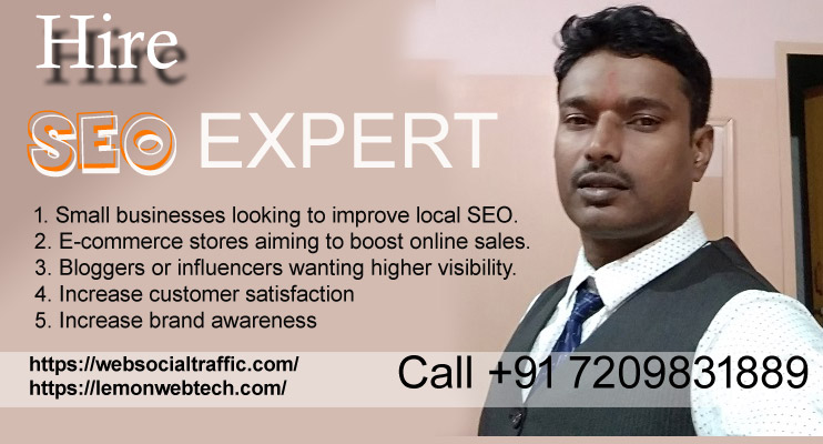 Hire best freelance website traffic manager