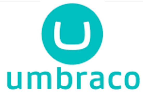 Umbraco Development